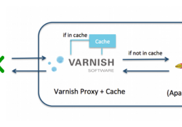 How to Configure Nginx as a reverse-proxy (lab II)