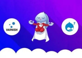 Configuring Varnish for Drupal best technique and practices