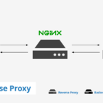 Optimizing nginx reverse proxy 20 Optimizing nginx reverse proxy