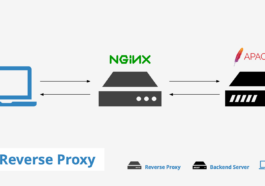 Optimizing nginx reverse proxy