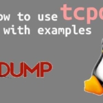 Capturing Packets with Tcpdump 21 Capturing Packets with Tcpdump