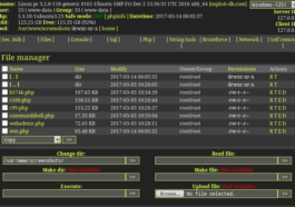 Finding Php Shell Scripts In Your Website