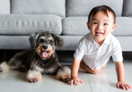furry pets and kids