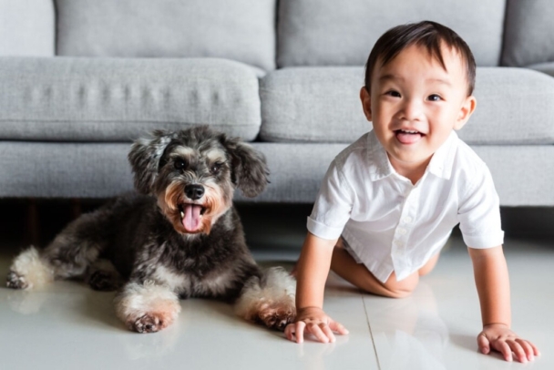 furry pets and kids