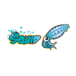 install and configure elite squid proxy server