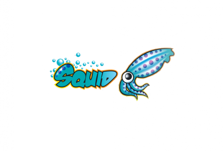 install and configure elite squid proxy server