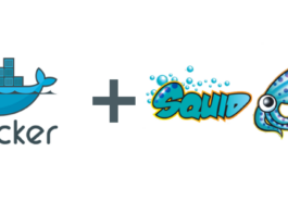 squid high anonymous proxy server - docker