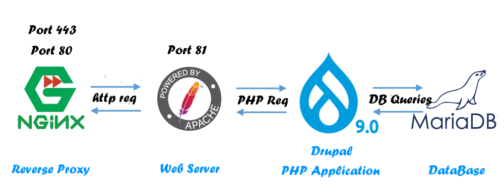 Nginx Apache Drupal MariaDB