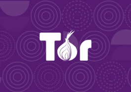 connecting tor network the onion router