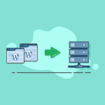wordpress database backup