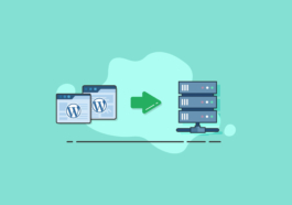 wordpress database backup