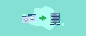 wordpress database backup
