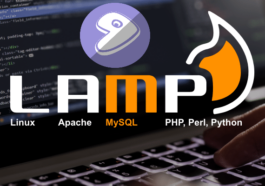 Gentoo LAMP Stack