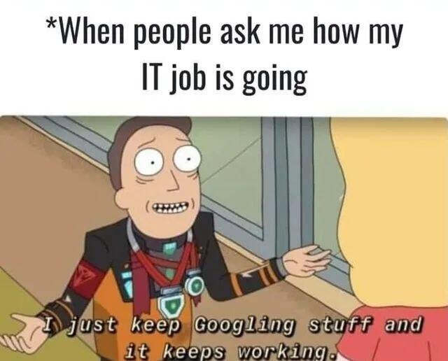 How My IT Job Is Going!?