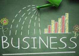 Business Growth