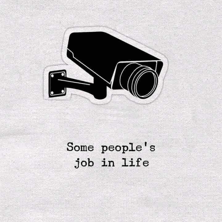 Some people's job in life! 😅