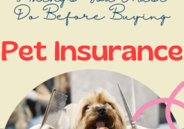 Before buying pet insurance