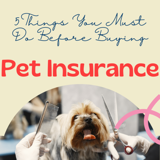 5 Things You Must Do Before Buying Pet Insurance 2 Before buying pet insurance