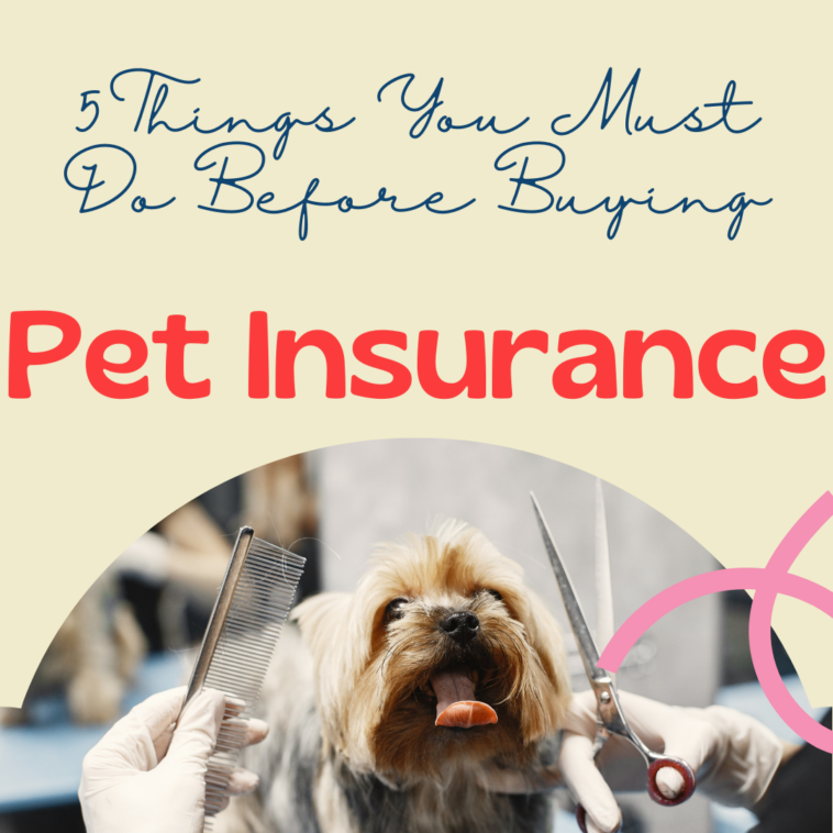 Before buying pet insurance