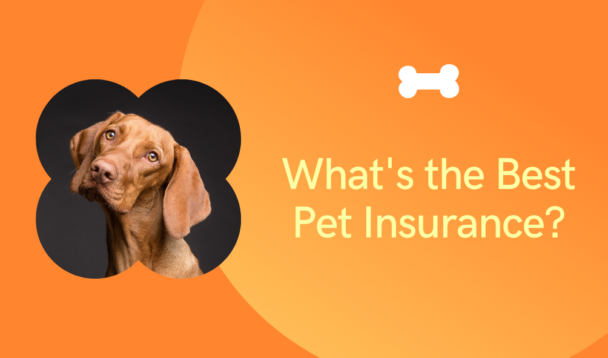 What's the Best Pet Insurance? 1 The best pet insurance