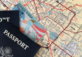 Immigration lawyer
