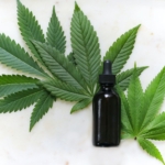 How CBD Oil Works