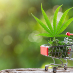 Bulk Cheap Weed