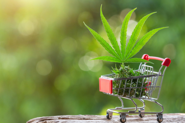 Bulk Cheap Weed