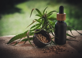 Finding The Perfect CBD Oil