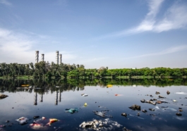 Water Contamination