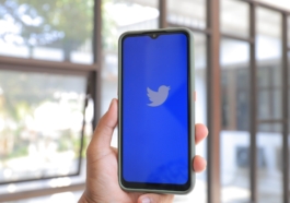 Optimize Your X (Twitter) Account