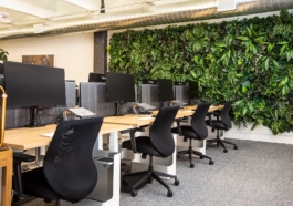Save Money When Setting Up An Office