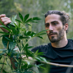 Cannabis Aficionados