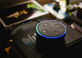 Voice Search Optimization