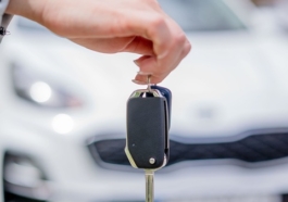 insurance for rental cars
