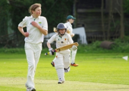 Cricket