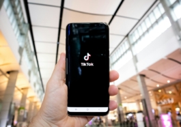TikTok Video Downloader