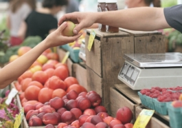 Customer insights