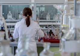 PhD scholarships