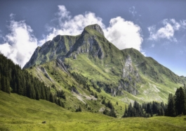 Study in Switzerland