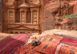 Study in the Middle East