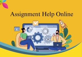 assignment help service